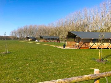 The woodchests tents backed by trees