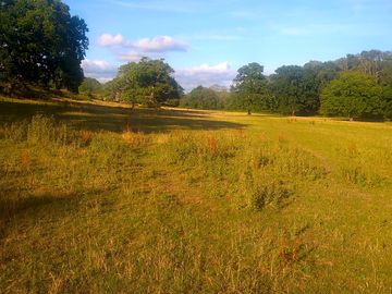 View over the pitches