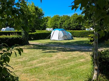 Grass pitches