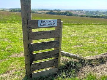 Dog-friendly site