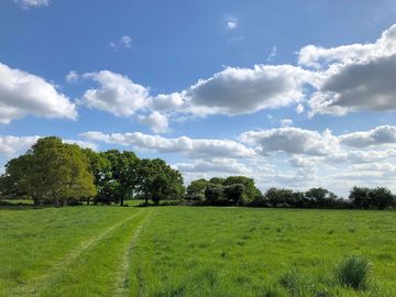 The grassy pitches