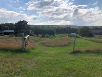 A view from the top field