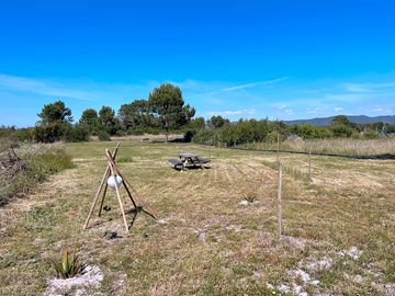 Grass pitches and picnic table