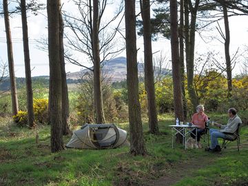 Make time to be together in the wild woods