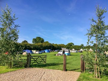 Campsite view