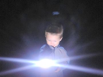 Exploring the woods at night