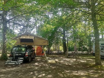 Motorhome pitches shaded by trees