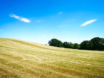 Camping field