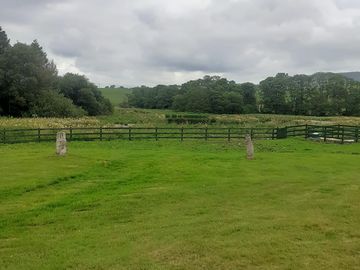 Grass pitches