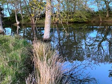 Fishing pond
