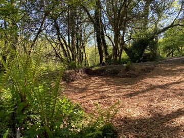 Woodland pitches