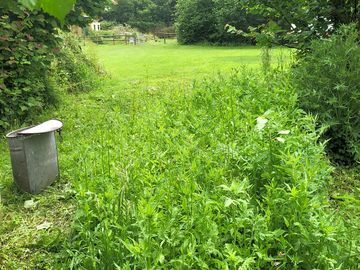 Grassy pitches