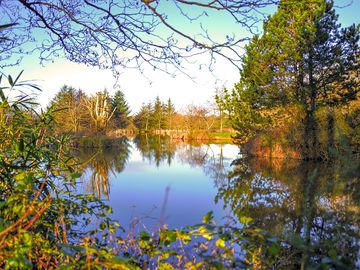 Lake on site