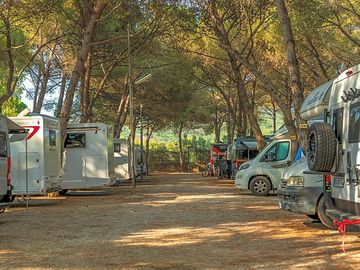 Tourer pitches under the trees