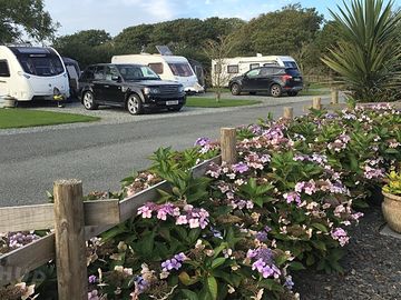 Flowerbeds by the pitches