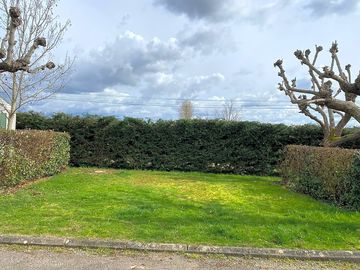 Grass pitches