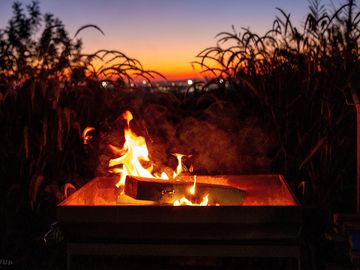 Firepit area