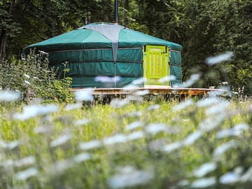 Yurt in the summer wildflower meadow