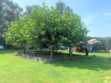 Shaded pitch