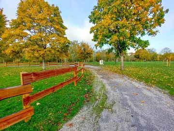 Path through the pitches