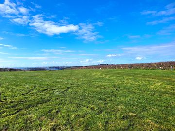 View from pitch 55