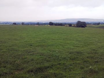 The main camping field