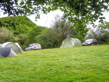 Grass pitches