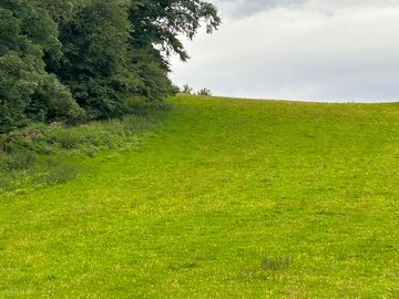 Grassy pitches at foel bella