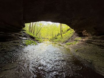 Clean water