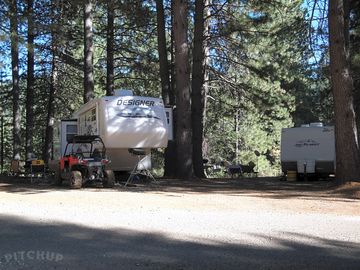 Beautiful pitches with large trees