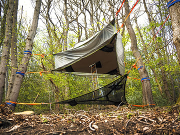 View of the woods and treetop tents