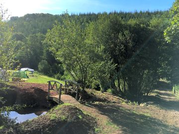 Top pond