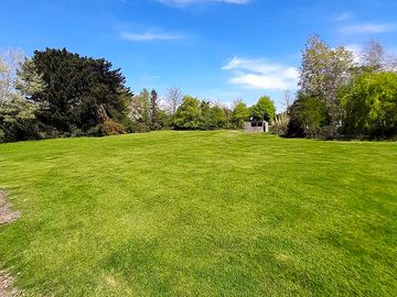 Grass