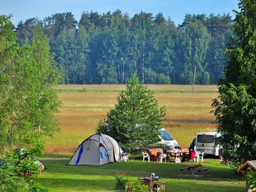 Tent pitches