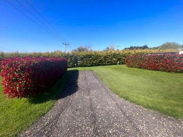 Grass pitches divided by hedges