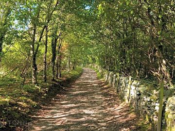 Track to the site