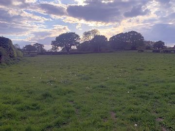 Camping pitches at tyn-y-cae