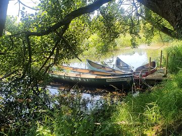 Canoe tree-lined rivers