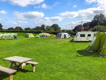 Flat grass pitches with EHU.