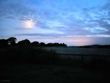 Moonlight over the meadow