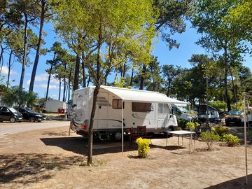 Campsite pitches
