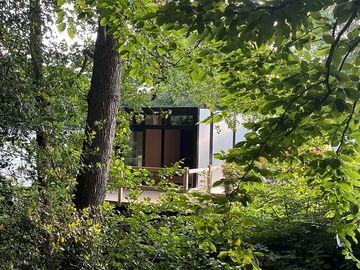 From the woods