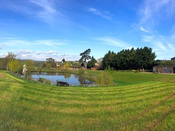 By a pond