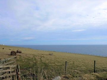 Pitches with sea views