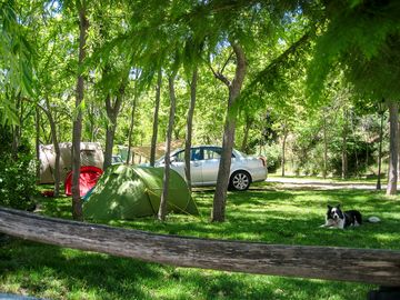 Camping pitches