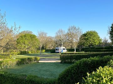 Pitches among greenery