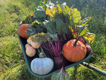 Farm produce