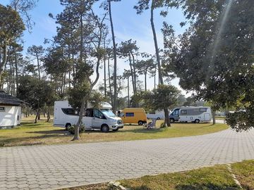 Campsites pitches