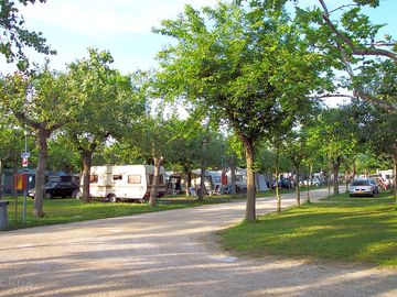 View of the site