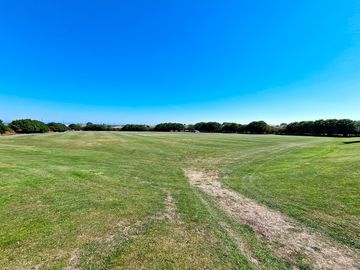 View of the site